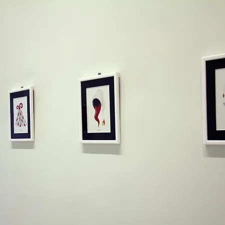 Pensionat Maison Carolina 4*